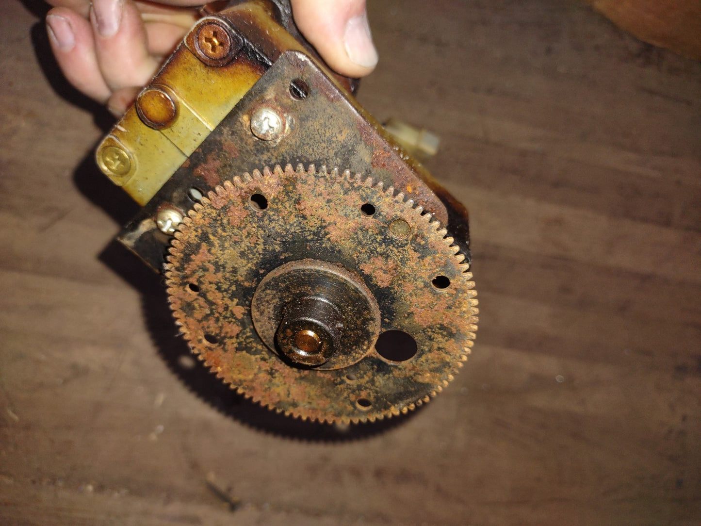 Image #4