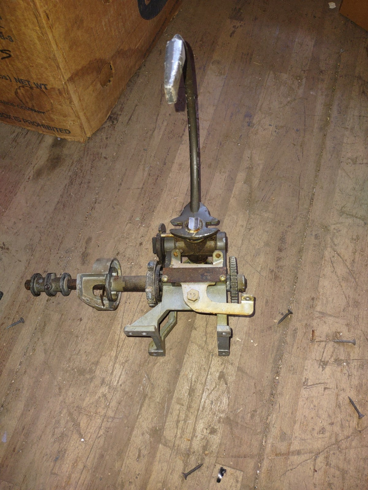 Image #2