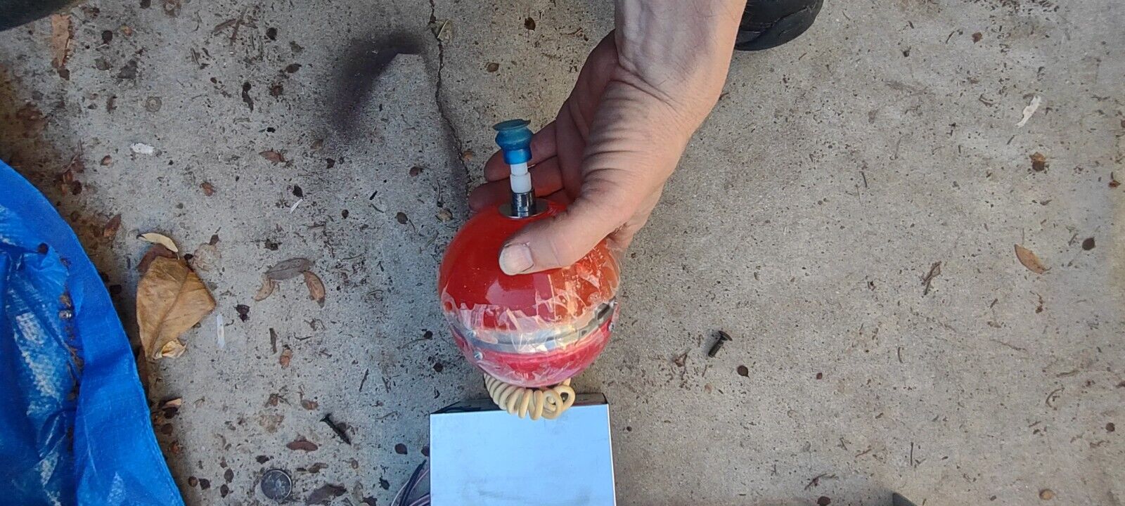 Image #2