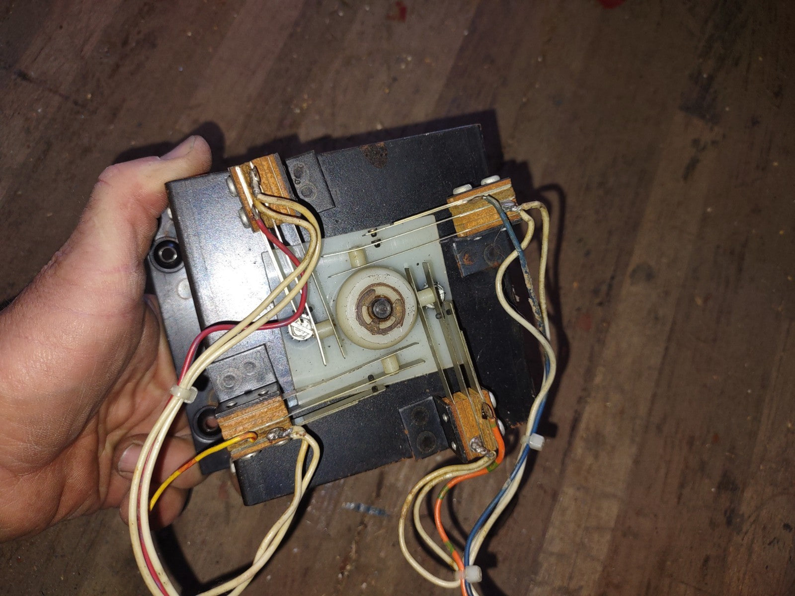 Image #2