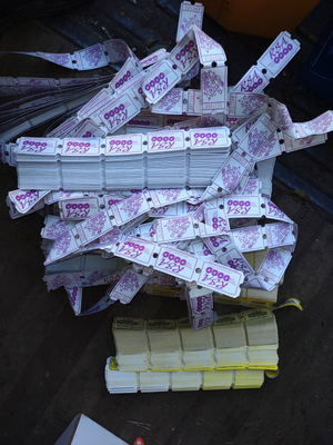 Descriptive image text